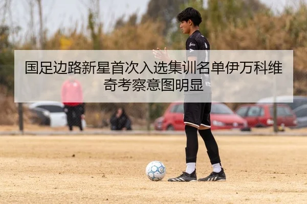 国足边路新星首次入选集训名单伊万科维奇考察意图明显